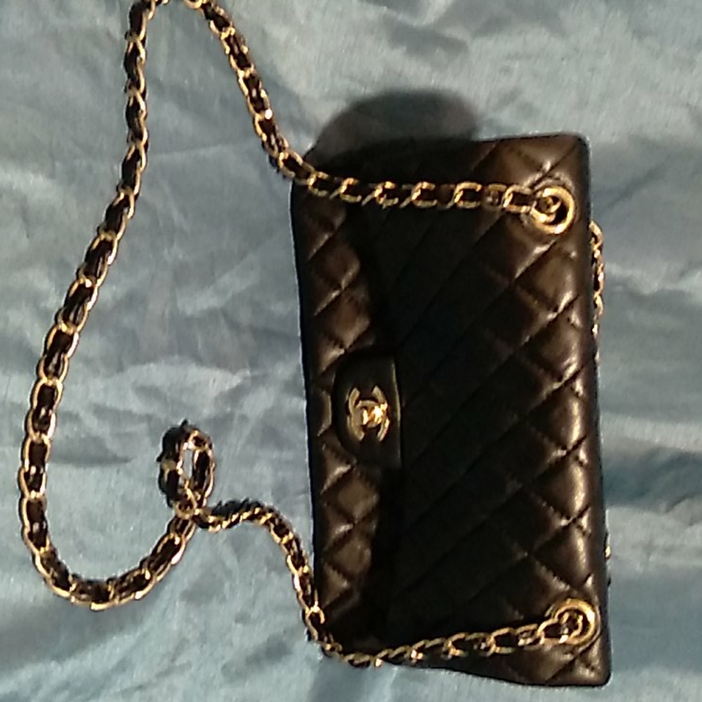 Chanel's bag
